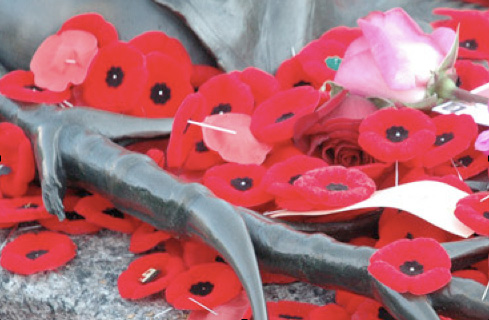 poppies